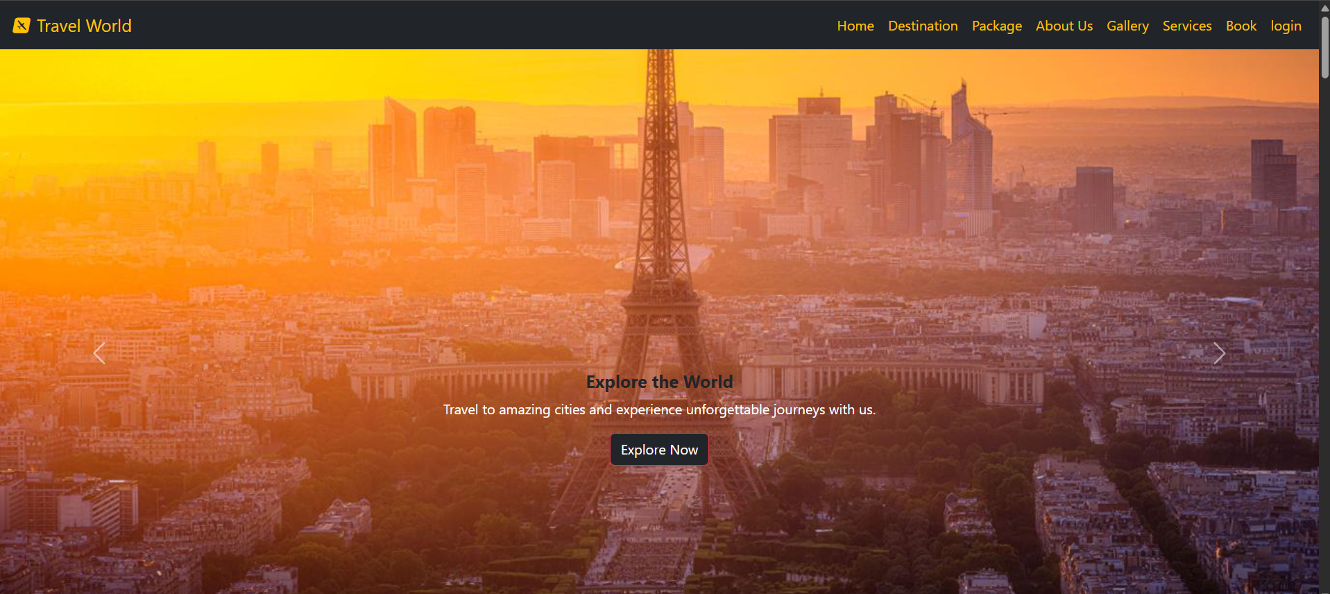 Travel Website